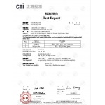 6P test report